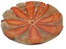 BANdeJA/FRUTEIRA